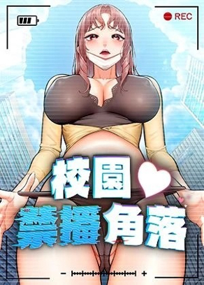 钢之炼金术师 封面